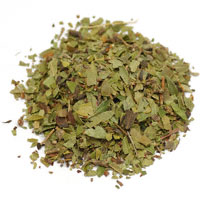 Uva Ursi Leaf 1/2 Oz. Pkg (Arctostaphylos uva ursi)